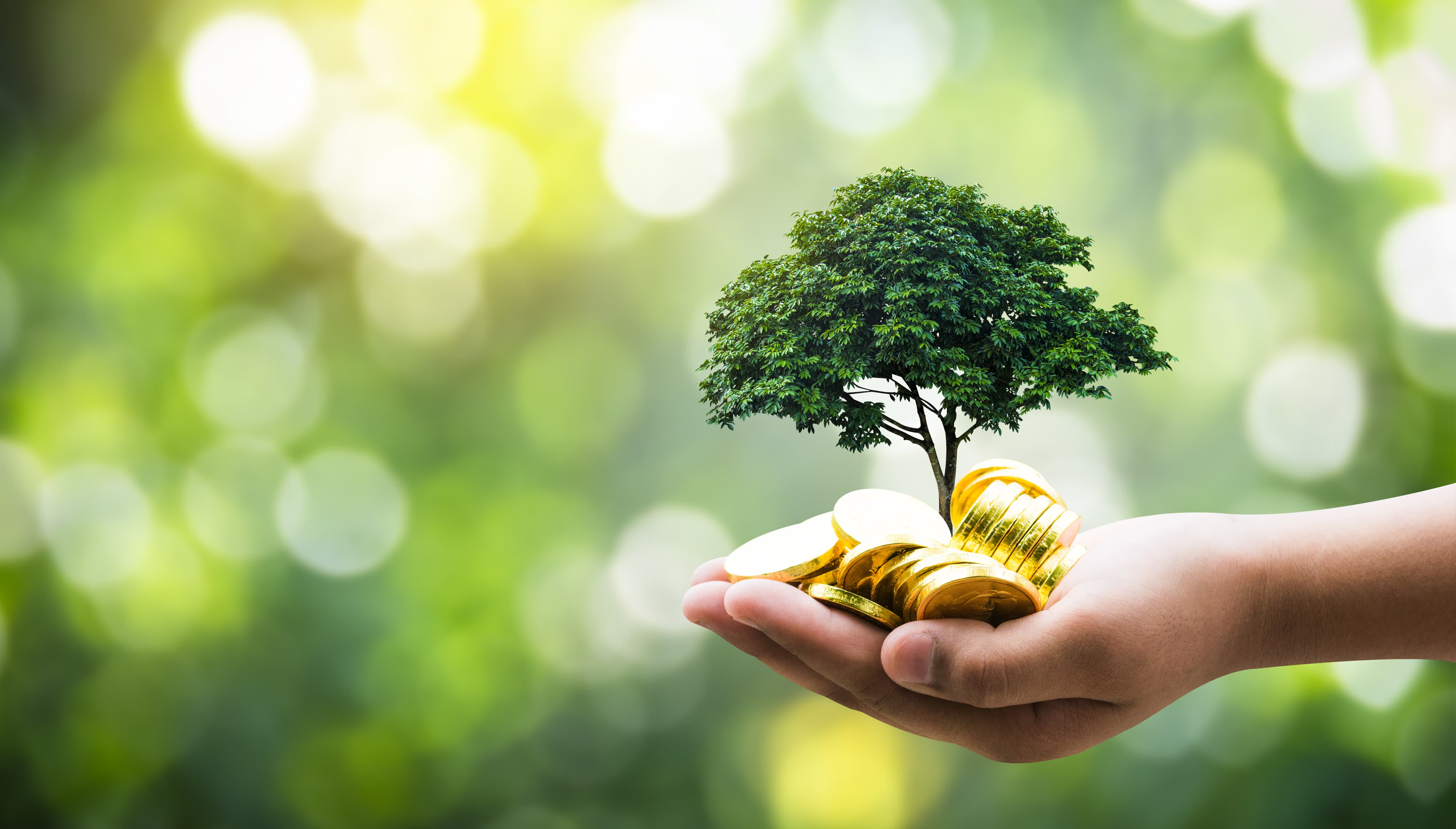 資金投入公建計畫